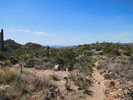 photo thumbnail #8