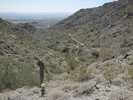 photo thumbnail #3