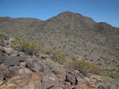 photo thumbnail #5