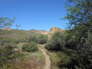 photo thumbnail #8