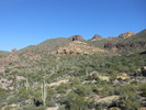 photo thumbnail #10