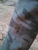 photo thumbnail #2