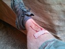 photo thumbnail #3