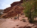 photo thumbnail #1