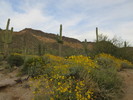 photo thumbnail #1