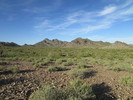 photo thumbnail #1