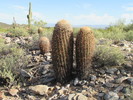 photo thumbnail #3