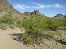 photo thumbnail #6