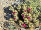 photo thumbnail #8