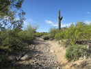 photo thumbnail #9
