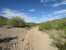 photo thumbnail #10
