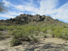 photo thumbnail #15