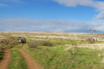 photo thumbnail #2
