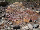 photo thumbnail #3