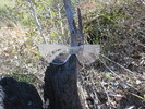 photo thumbnail #10