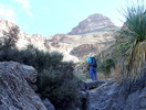 photo thumbnail #1