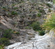 photo thumbnail #11