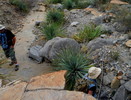 photo thumbnail #14