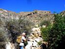 photo thumbnail #3