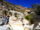 photo thumbnail #6
