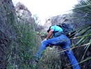 photo thumbnail #3