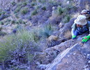 photo thumbnail #8