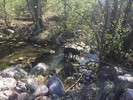 photo thumbnail #8