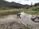 photo thumbnail #5