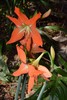 photo thumbnail #13