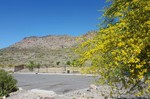 photo thumbnail #1