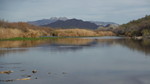 photo thumbnail #14