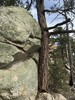 photo thumbnail #8