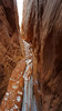 photo thumbnail #15