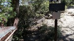 photo thumbnail #10
