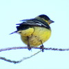 photo thumbnail #1