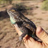 photo thumbnail #3