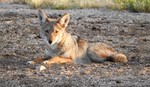 photo thumbnail #7