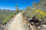 photo thumbnail #4