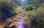 photo thumbnail #2