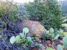photo thumbnail #4