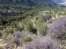 photo thumbnail #14