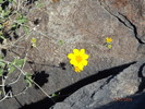 photo thumbnail #13