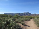 photo thumbnail #3