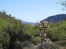 photo thumbnail #5