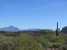 photo thumbnail #6