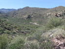 photo thumbnail #12