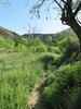 photo thumbnail #5