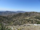photo thumbnail #11