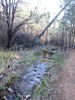 photo thumbnail #14