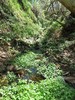 Featured Full Photo